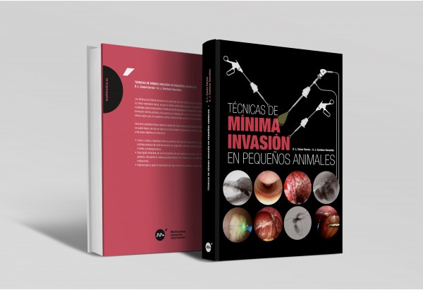 Técnicas de mínima invasión en pequeños animales -Libros veterinaria de referencia