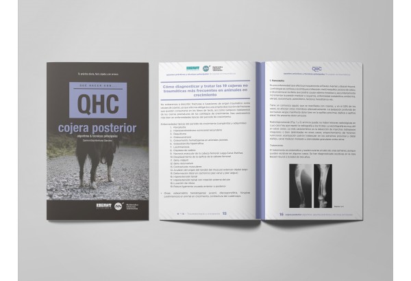 Revista QHC Cojera posterior -Revistas