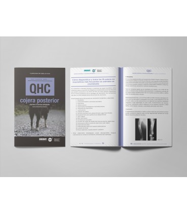 Revista QHC Cojera posterior -Revistas