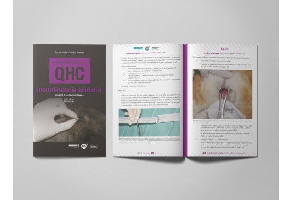 Revista QHC Incontinencia urinaria -Colecciones