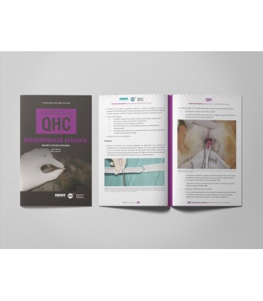 Revista QHC Incontinencia urinaria -Colecciones