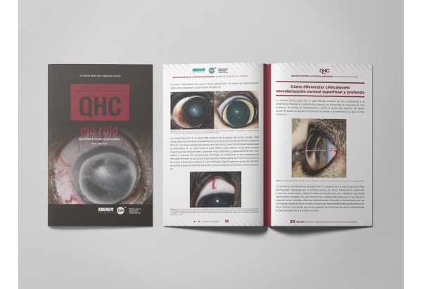 Revista QHC Ojo Rojo -Colecciones