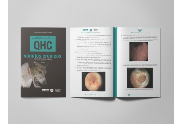Revista QHC vómitos crónicos -Colecciones