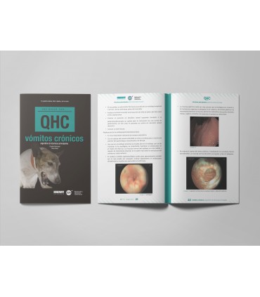 Revista QHC vómitos crónicos -Colecciones