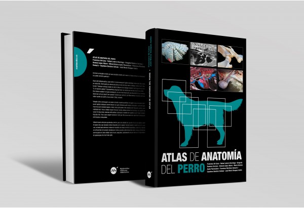 Atlas de anatomía del perro -Colecciones