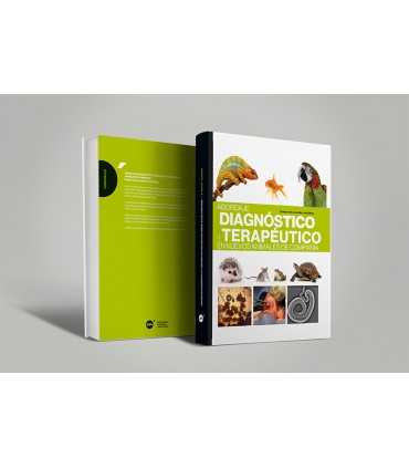 Abordaje diagnóstico y terapéutico en nuevos animales de compañía -Animales exóticos